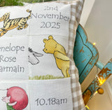 Winnie the Pooh memory cushion