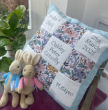 Dinosaur memory cushion