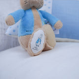 Nursery Name Cushion Blue or Pink