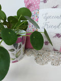 Special Friend Cushion